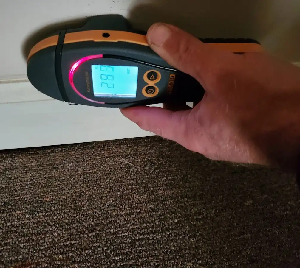 Moisture detection at baseboard during Burst Pipe Cleanup in Buffalo